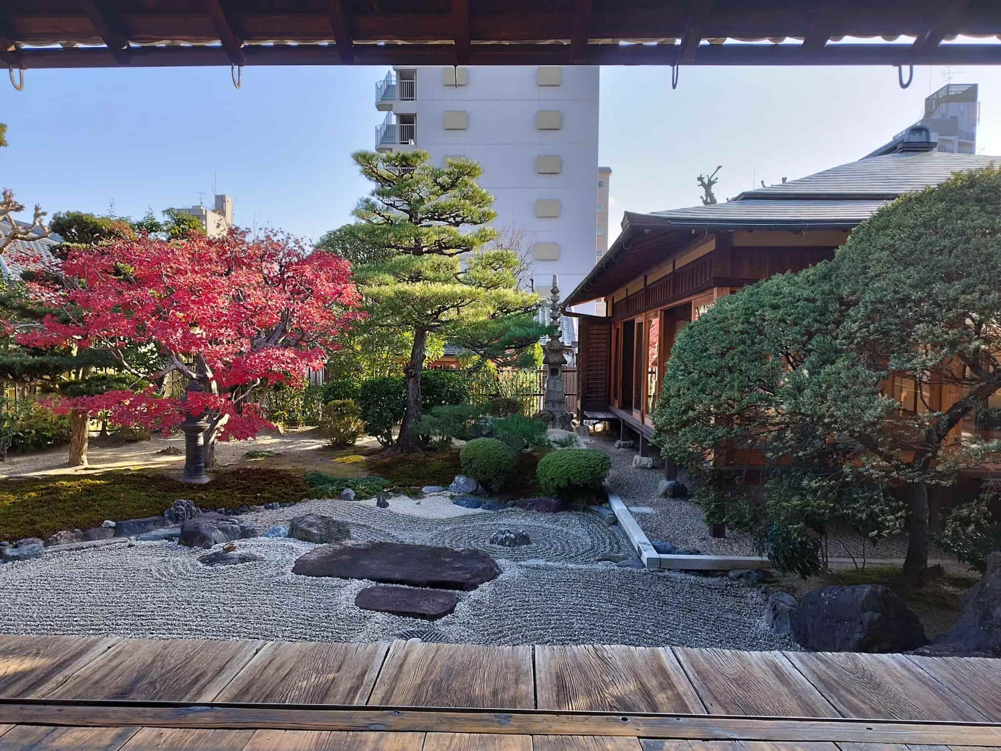 玉藏院の美しい日本庭園。季節の花々と手入れされた樹木が調和する景色