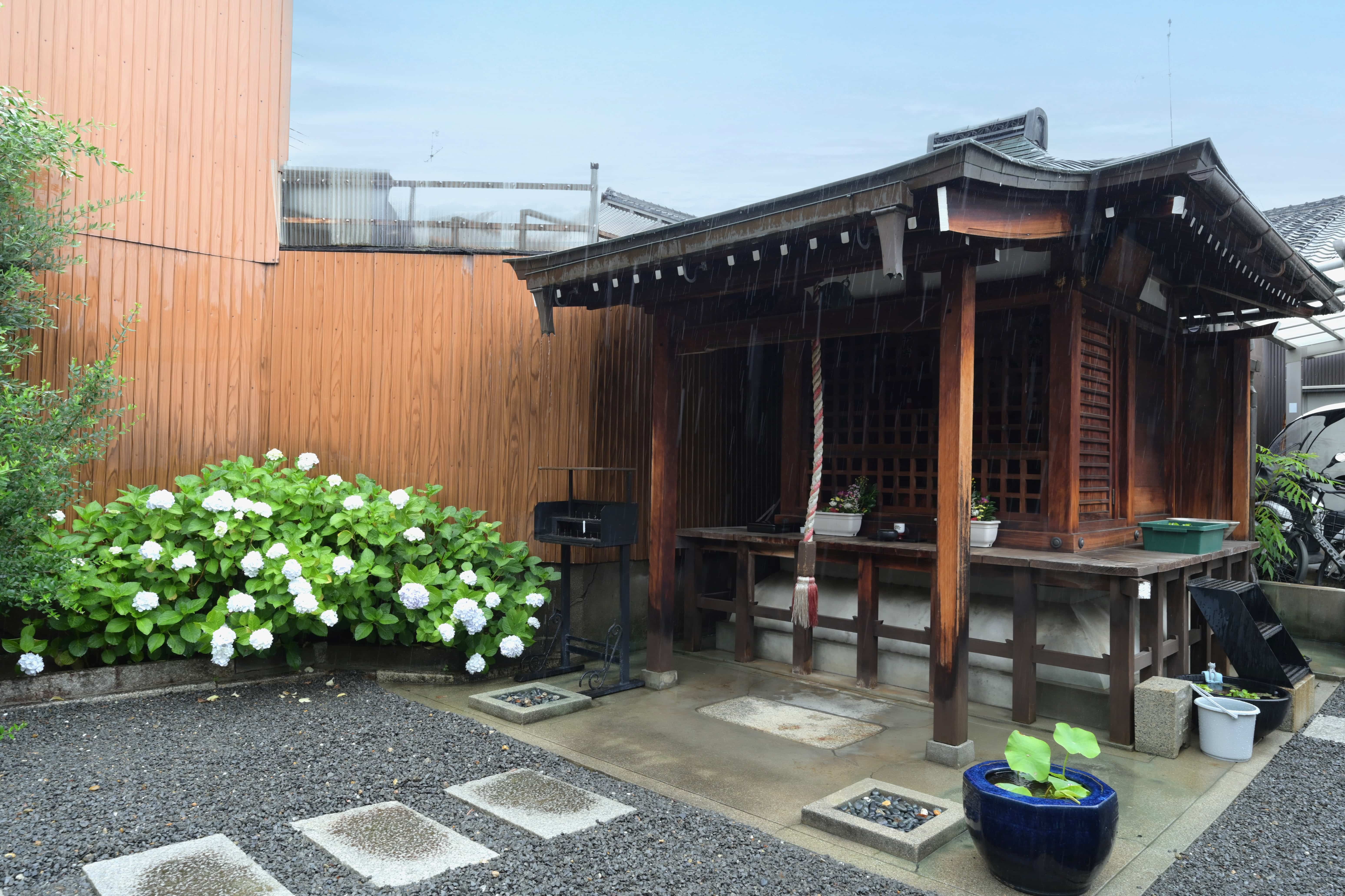 玉藏院の美しい日本庭園。季節の花々と手入れされた樹木が調和する景色